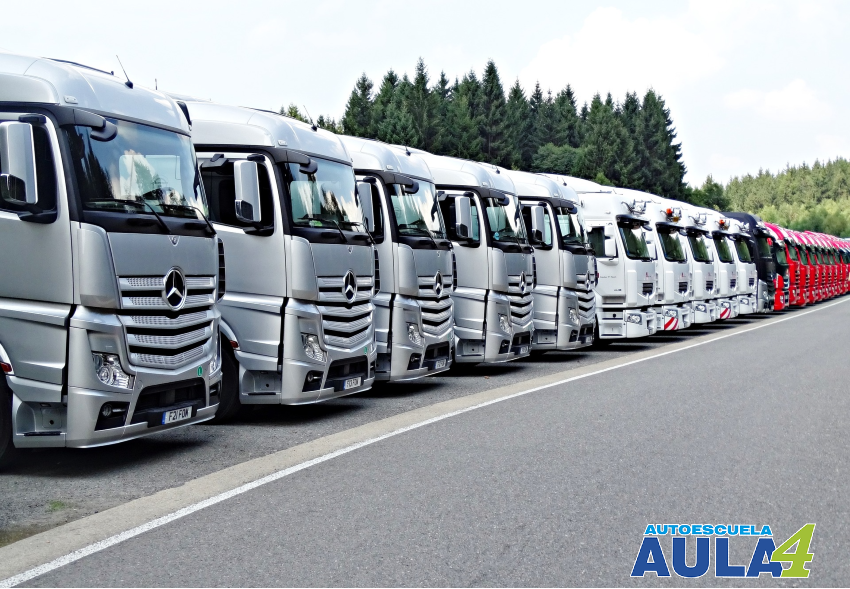 Camiones alineados en la carretera.